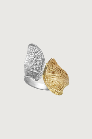 Armadillo Scapula Ring