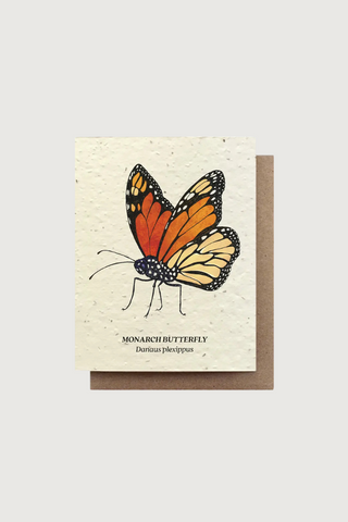 Monarch Butterfly Seed Card