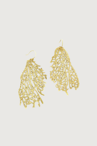 Fan Coral Earrings