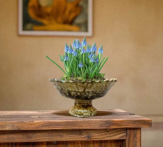 Tamegroute Green Fruit Bowl or Planter – Handmade Moroccan Pottery: Green / 10"x6" (25 x 14 cm)