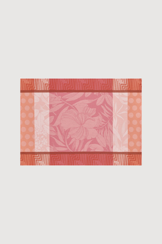 Nature Urbane Napkin and Wipeable Placemat Set of 4