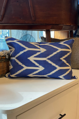 Velvet Pillow Covers | 16x24"