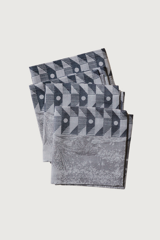 Foret Enchantee Cotton Napkin, Set of Four; Grey