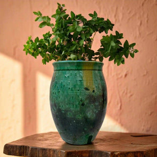 Tamegroute Jar Vase – Handmade Green Moroccan Pottery (22 cm)