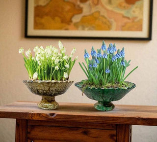 Tamegroute Green Fruit Bowl or Planter – Handmade Moroccan Pottery: Green / 8" x 5" (20 x 12 cm)