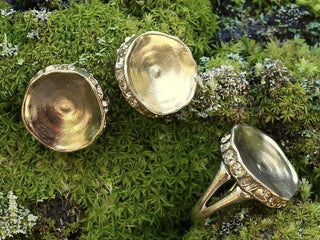 Shark Vertebrae Ring