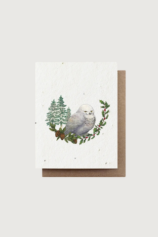 Snowy Owl Seed Cards