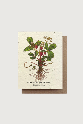 Strawberry Seed Card