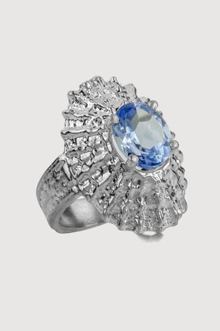 Limpet Shell Ring