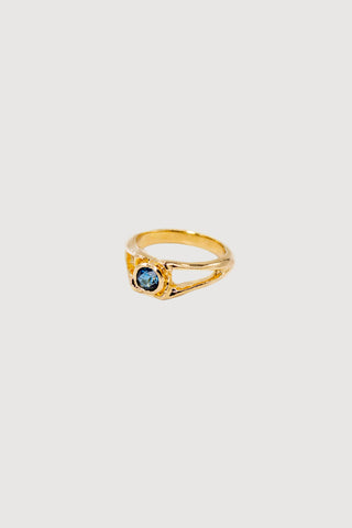 Alligator Spinous Process Ring